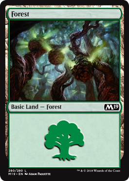 Forest (280) (Magic 2019 Core Set) Near Mint