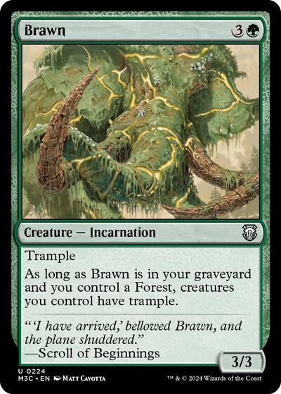 Brawn (Ripple Foil) (Commander: Modern Horizons 3) Light Play Foil
