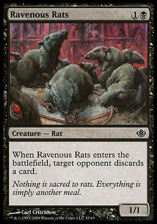 Ravenous Rats (Duel Decks: Garruk vs Liliana) Medium Play