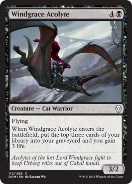 Windgrace Acolyte|0|0|0.00
