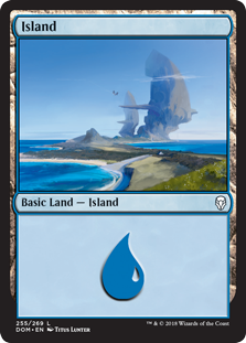 Island (255) (Dominaria) Near Mint