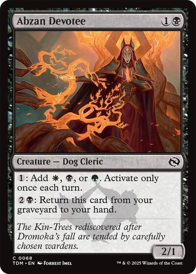 Abzan Devotee (Tarkir: Dragonstorm) Light Play