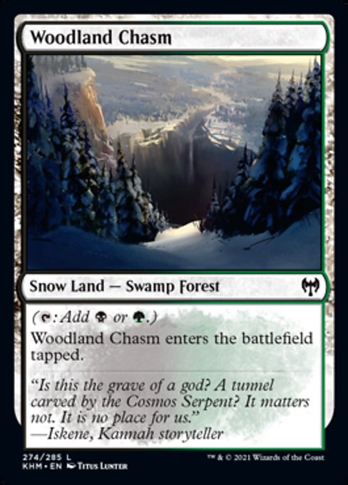 Woodland Chasm (Kaldheim) Light Play Foil