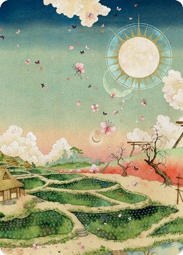 Plains  293  Art Card  79 81|0|0|0.00
