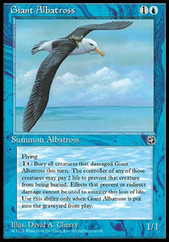 Giant Albatross (2) (Homelands) Medium Play