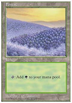 Forest D (5th Edition) Heavy Play
