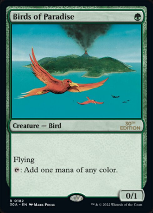 Birds of Paradise|0|0|0.00