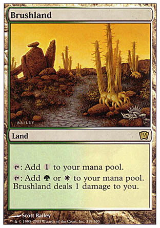 Brushland (9th Edition) Heavy Play Foil