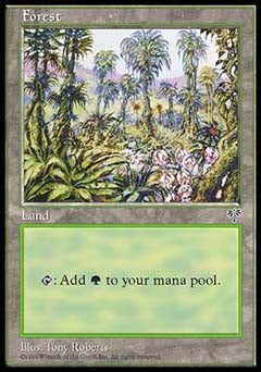 Forest (Mirage) Damaged / Poor