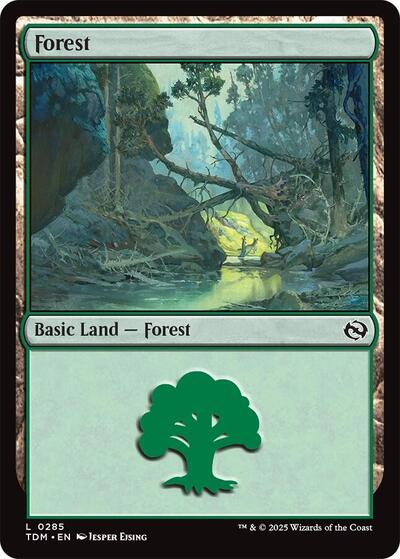 Forest (0285) (Tarkir: Dragonstorm) Near Mint Foil