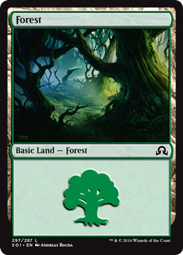 Forest (297) (Shadows Over Innistrad) Light Play