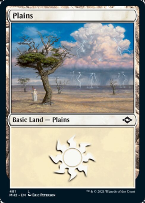 Plains (481) (Modern Horizons 2) Light Play Foil