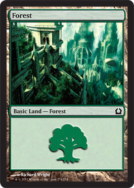 Forest (274) (Return to Ravnica) Medium Play