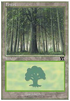 Forest (349) (Classic 6th Edition) Medium Play