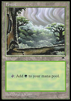 Forest C (Tempest) Light Play