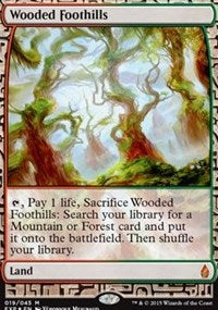 Wooded Foothills (Zendikar Expeditions) Damaged / Poor Foil