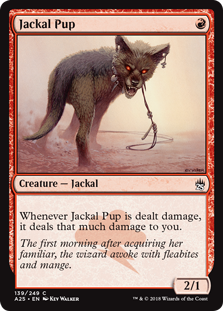 Jackal Pup (Masters 25) Near Mint Foil