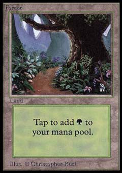 Forest B (Alpha) Medium Play