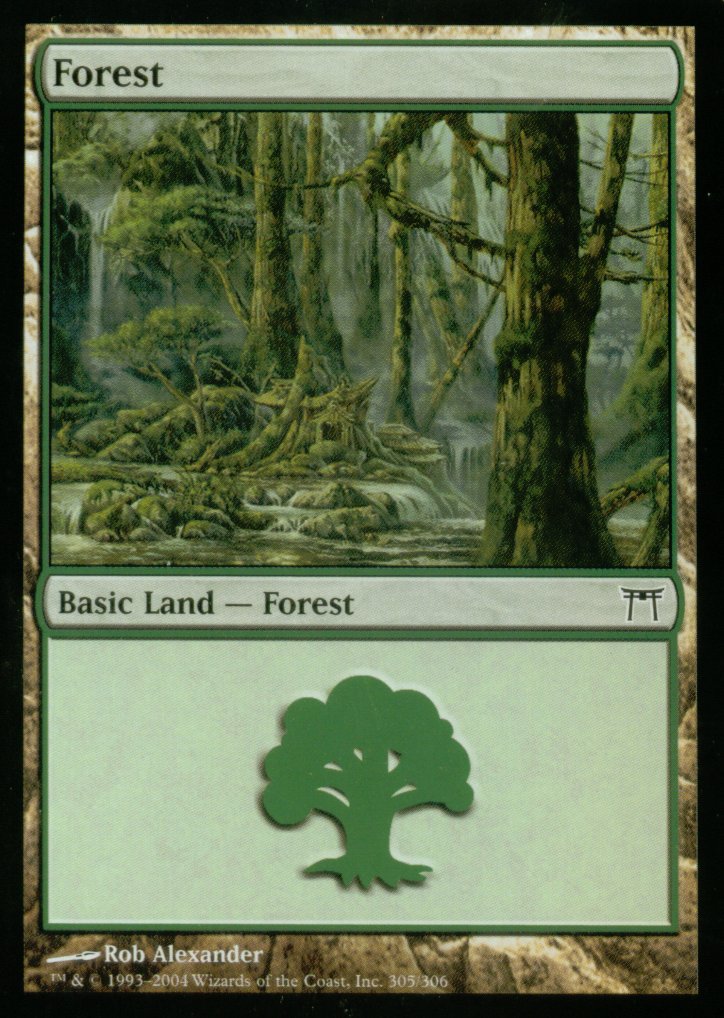 Forest (305) (Champions of Kamigawa) Medium Play Foil