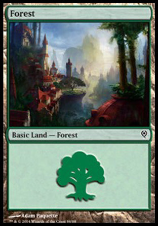 Forest (86) (Duel Decks: Jace vs Vraska) Medium Play