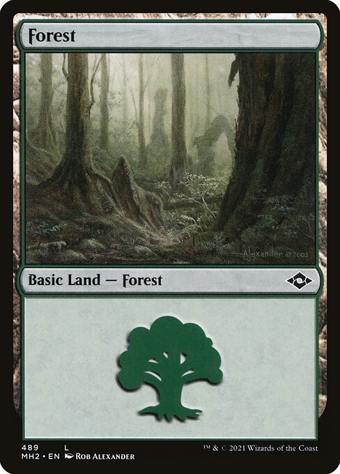 Forest (489) (Foil Etched) (Modern Horizons 2) Near Mint Foil