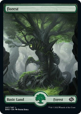Forest (287) - Full Art (The Brothers' War) Medium Play Foil