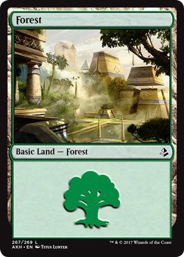 Forest (267) (Amonkhet) Near Mint Foil