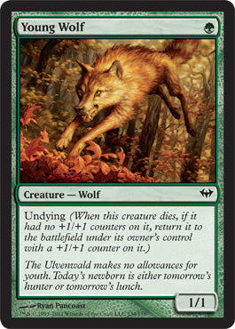 Young Wolf (Dark Ascension) Medium Play Foil