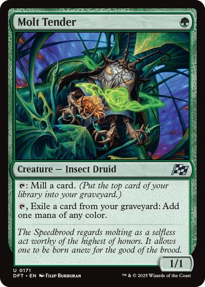Molt Tender (Aetherdrift) Near Mint Foil