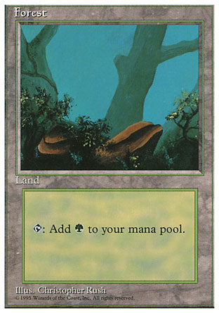 Forest C (4th Edition) Heavy Play