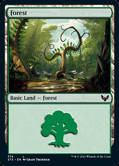 Forest (374) (Strixhaven) Near Mint Foil