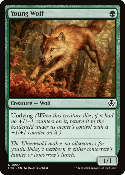 Young Wolf (Innistrad Remastered) Near Mint