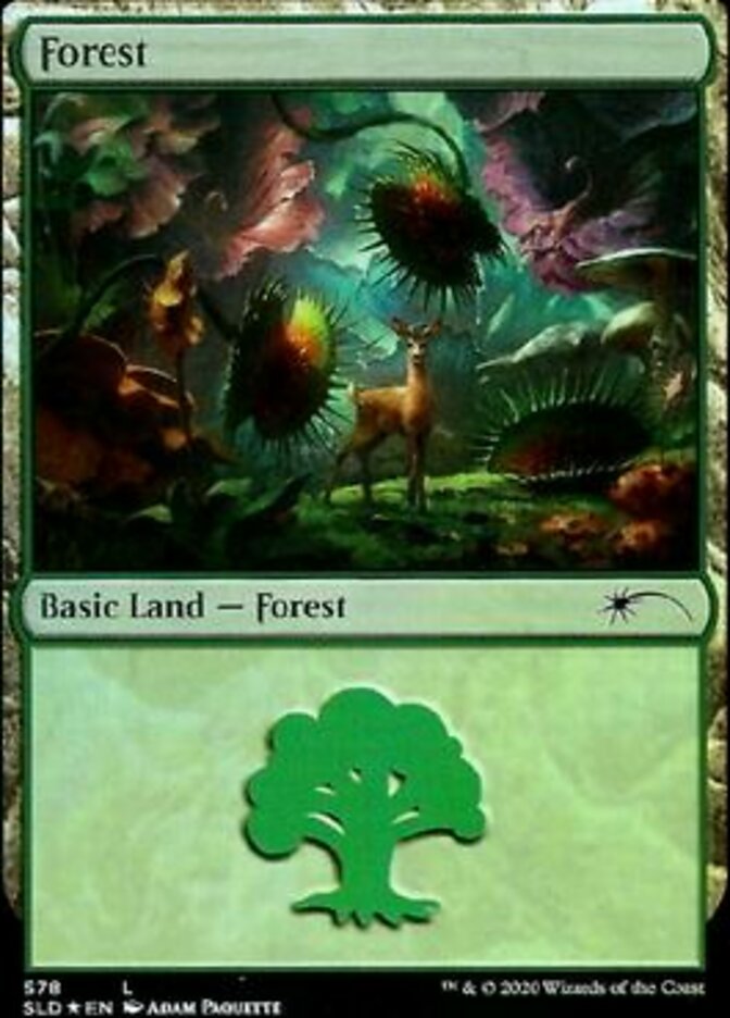 Forest 578 (Secret Lair) Near Mint Foil