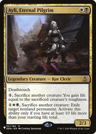 Ayli  Eternal Pilgrim|5|0|0.00