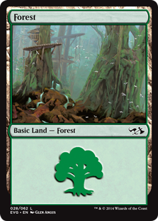 Forest 4 (Duel Decks Anthology: Elves vs Goblins) Light Play