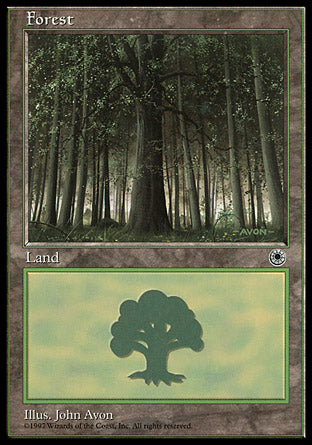 Forest (Portal) Light Play