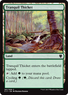Tranquil Thicket|0|0|0.00