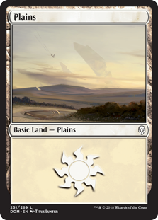 Plains (251) (Dominaria) Light Play