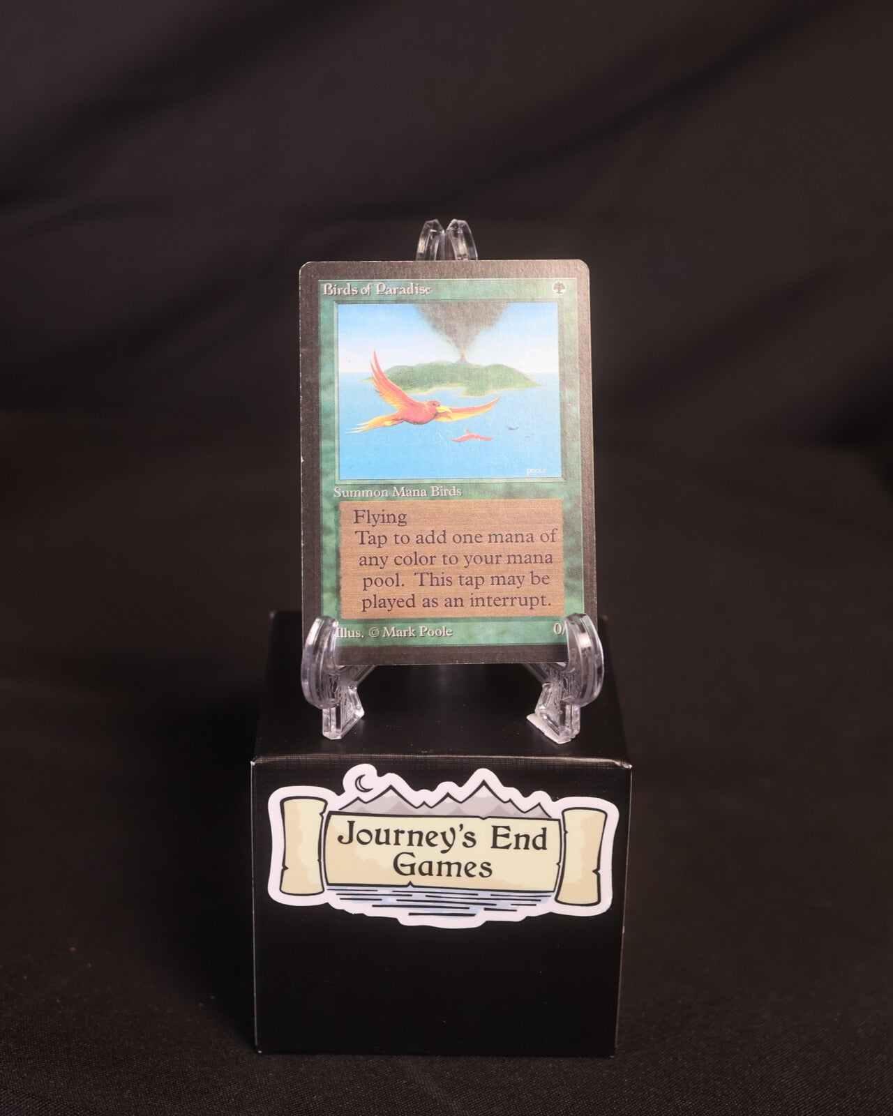 Birds of Paradise Beta HP