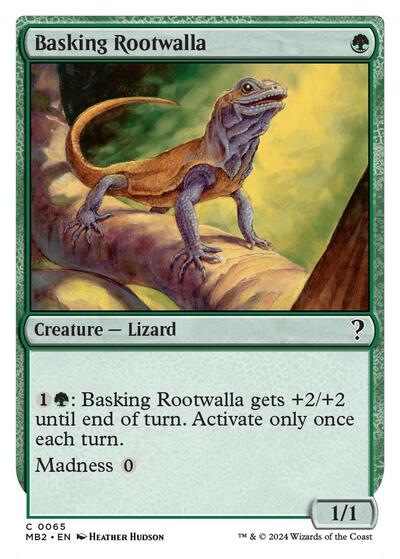 Basking Rootwalla  White Border|3|0|0.00
