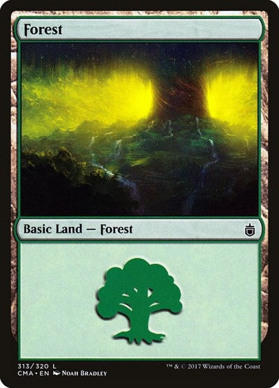 Forest  313|3|0|0.00