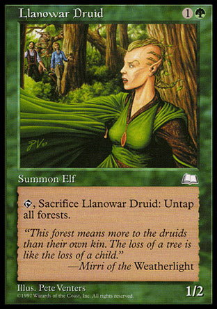 Llanowar Druid (Weatherlight) Medium Play
