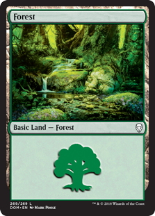 Forest (269) (Dominaria) Near Mint Foil