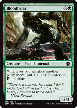 Bloodbriar (Eldritch Moon) Medium Play Foil