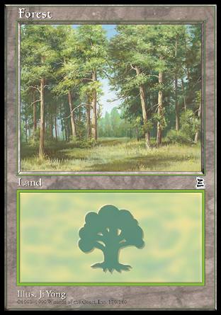 Forest (179) (Portal Three Kingdoms) Medium Play