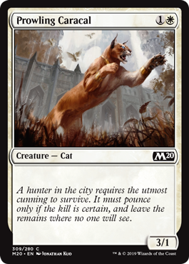 Prowling Caracal (Magic 2020 Core Set) Medium Play