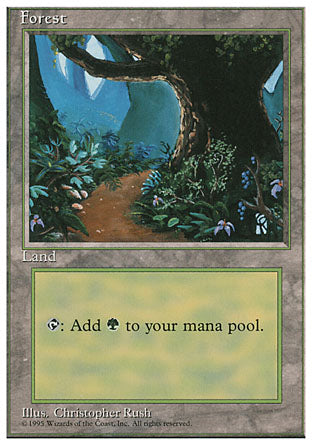 Forest (4th Edition) Heavy Play