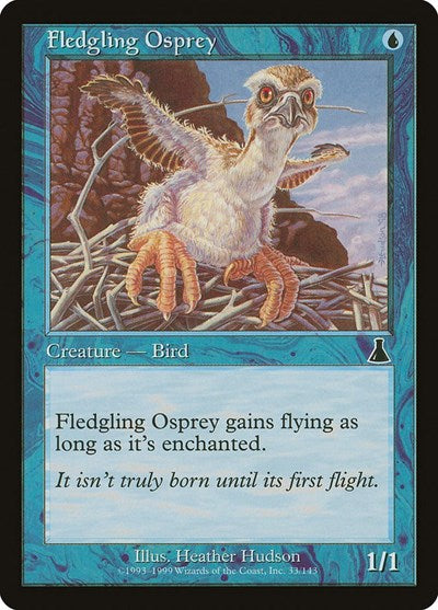 Fledgling Osprey (Urza's Destiny) Medium Play