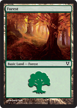 Forest (243) (Avacyn Restored) Light Play