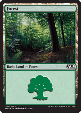 Forest (267) (Magic 2015 Core Set) Medium Play